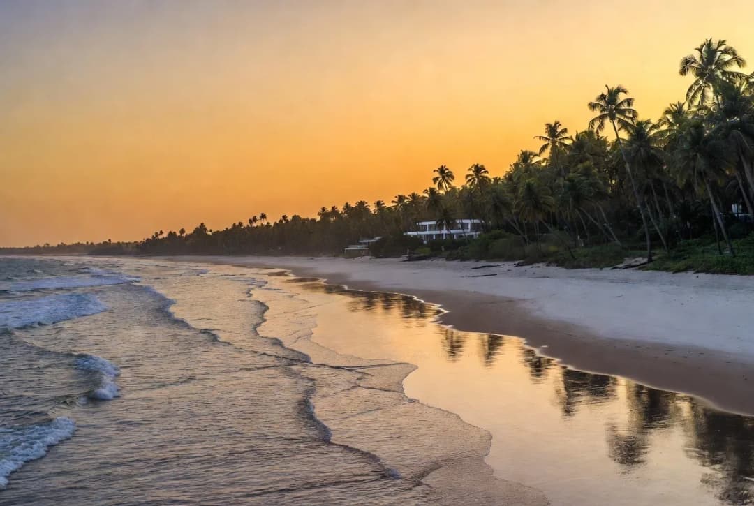 Top North Goa Nightclubs You Must Visit This Weekend